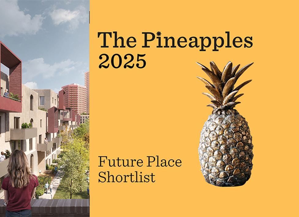 Carpenters Pineappless shortlist